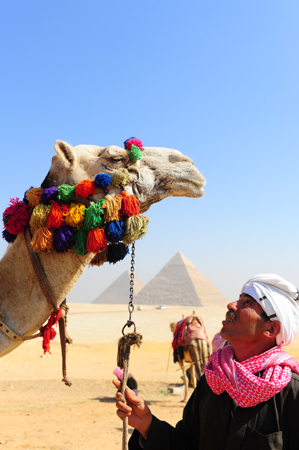 Egypt: Pyramids of Giza : Travel World : Michael Ventura Photography, Washington DC, Portraits, Stock, Caribbean, Headshots, head, shots , Photographer, Photography