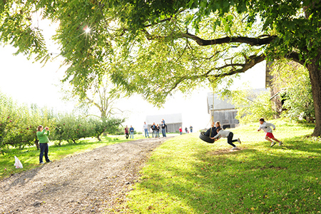 Families at a pick-your-own apple orchard, Victor, NY : Life's Moments : Michael Ventura Photography, Washington DC, Portraits, Stock, Caribbean, Headshots, head, shots , Photographer, Photography