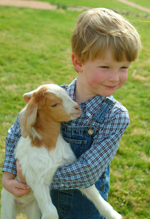 A young boy helps out on a farm in Berryville, VA. : Life's Moments : Michael Ventura Photography, Washington DC, Portraits, Stock, Caribbean, Headshots, head, shots , Photographer, Photography