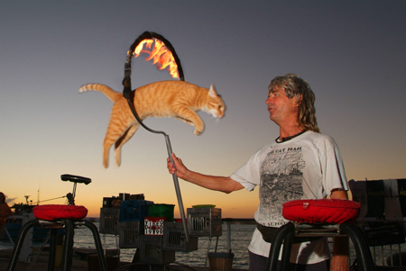 The Catman at the Sunset Celebration at Mallory Square, Key West, Florida : Travel USA : Michael Ventura Photography, Washington DC, Portraits, Stock, Caribbean, Headshots, head, shots , Photographer, Photography