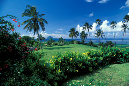 The Lush Landscape of St. Kitts : Travel Caribbean : Michael Ventura Photography, Washington DC, Portraits, Stock, Caribbean, Headshots, head, shots , Photographer, Photography