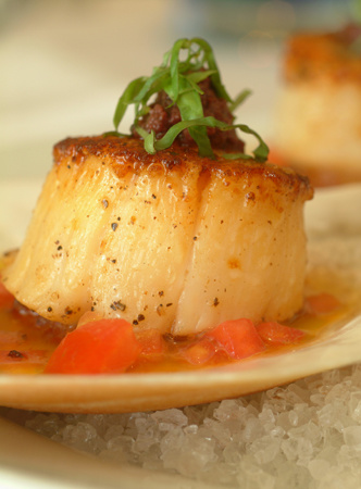 Seared sea scallops at the Inn at Easton on the Eastern Shore of Maryland : Travel USA : Michael Ventura Photography, Washington DC, Portraits, Stock, Caribbean, Headshots, head, shots , Photographer, Photography